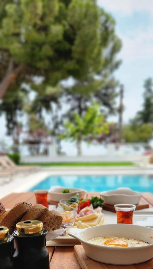 Villa No 44 Darıca エクステリア 写真